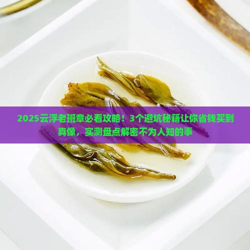 云浮老班章有哪些