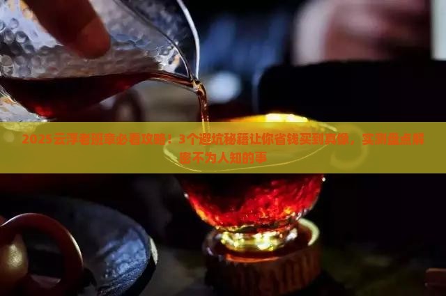 云浮老班章有哪些