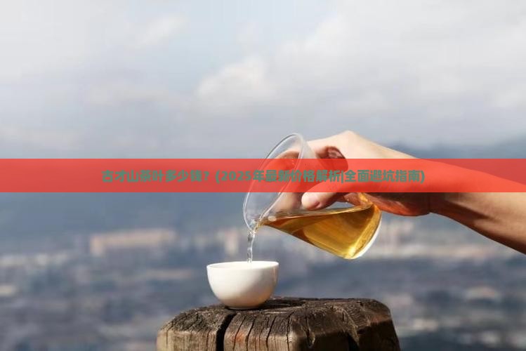 古才山茶叶多少钱