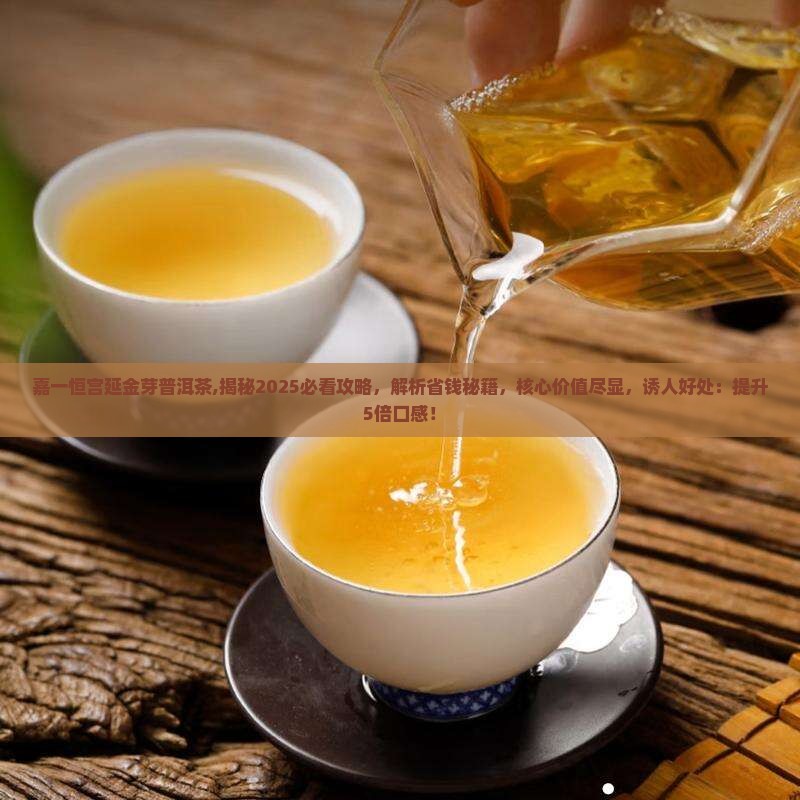 嘉一恒宫延金芽普洱茶