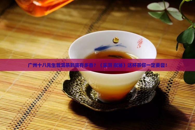 广州十八先生普洱