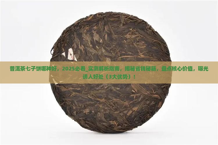 普洱茶七子饼哪种好