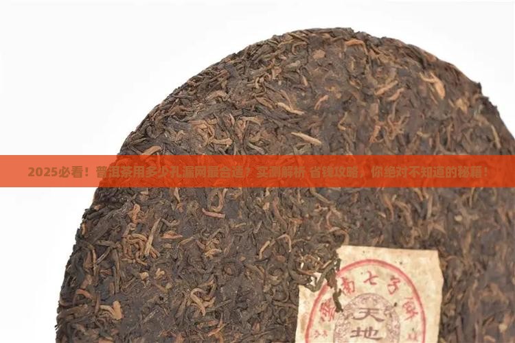 普洱茶用多少孔的漏网