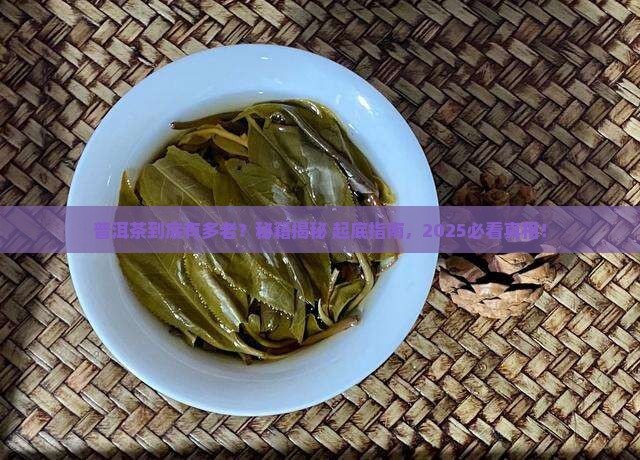 普洱茶是什么时候就有的
