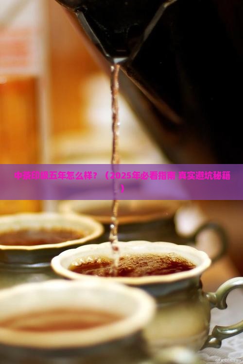 中茶印级五年怎么样