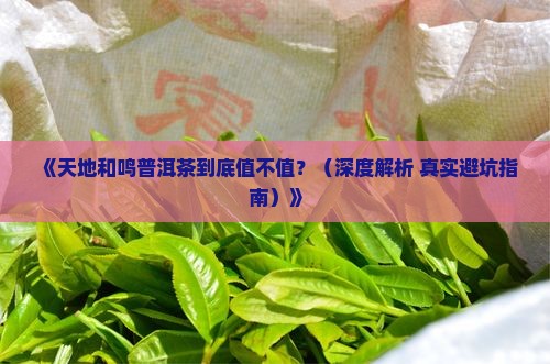 天地和鸣普洱茶怎么样