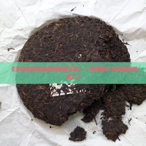天地和鸣普洱茶怎么样