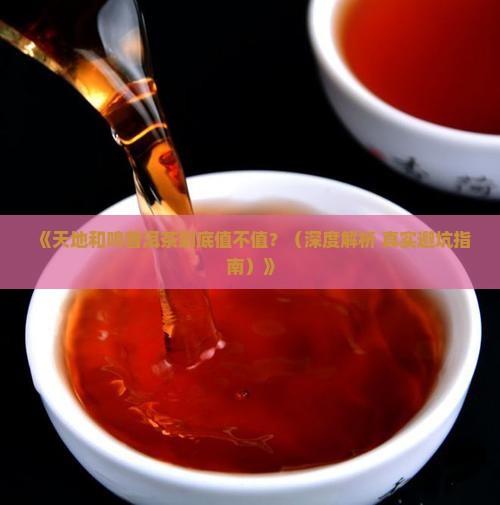 天地和鸣普洱茶怎么样