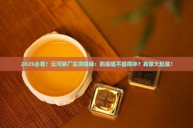 云河茶厂怎么样 云河茶厂怎么样