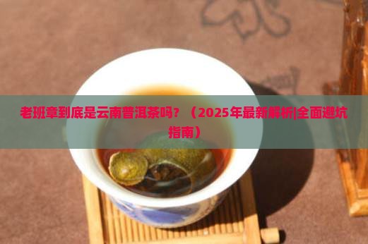 老班章是云南普洱茶吗