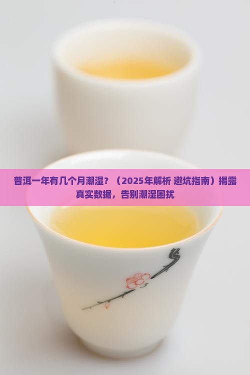 普洱一年有几个月潮湿