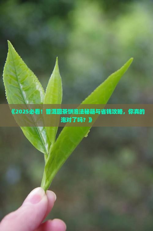 普洱茶圆茶饼的泡法