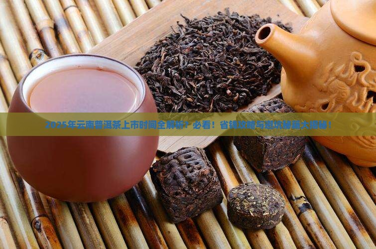 云南普洱茶什么时候上市