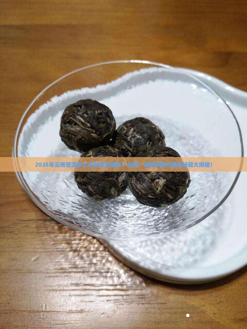 云南普洱茶什么时候上市