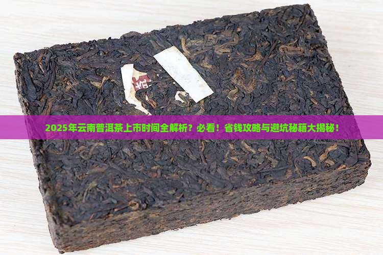 云南普洱茶什么时候上市