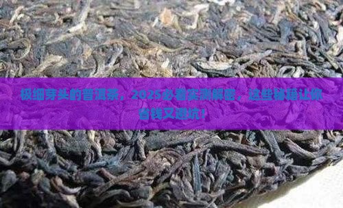 极细芽头的普洱茶