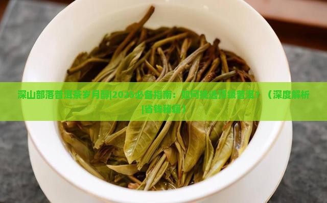 深山部落普洱茶岁月醇
