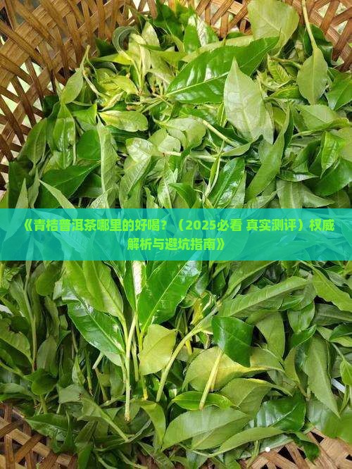 青桔普洱茶哪里的好喝