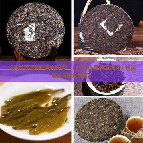 青桔普洱茶哪里的好喝