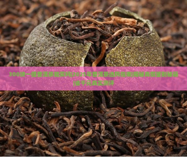 300块一提普洱茶能买吗