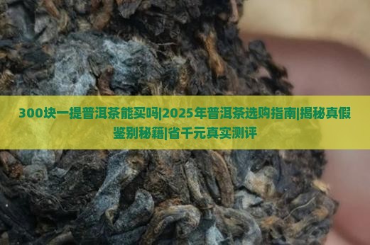300块一提普洱茶能买吗