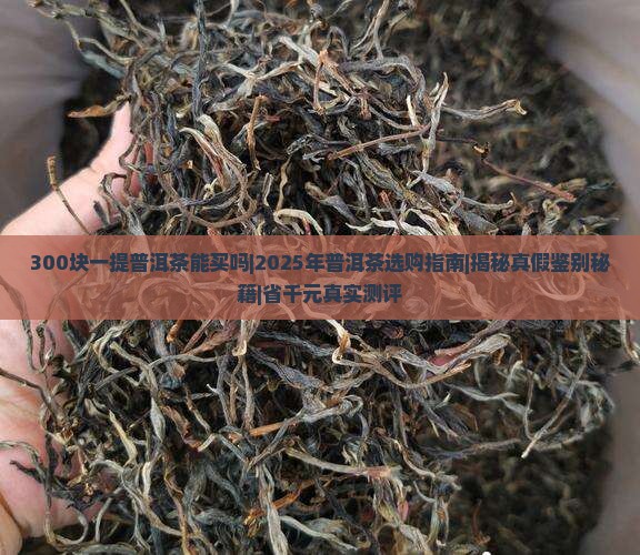300块一提普洱茶能买吗