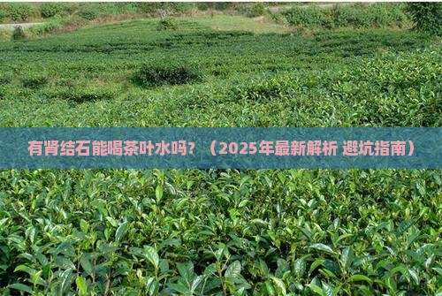 有肾结石可以喝茶叶水吗