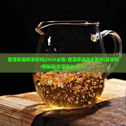 普洱茶能够浇花吗