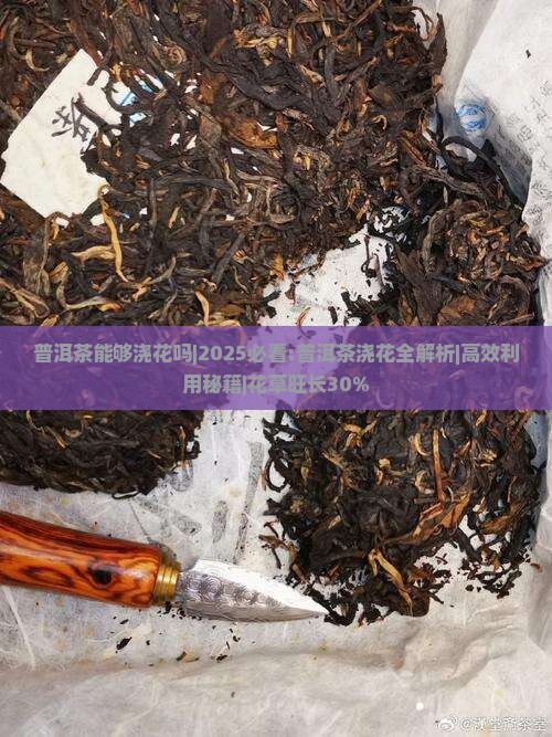 普洱茶能够浇花吗