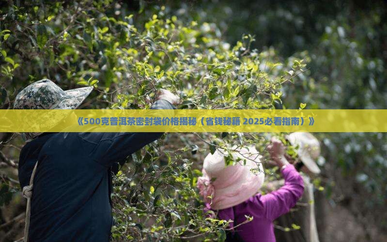 500克普洱茶密封袋多少钱