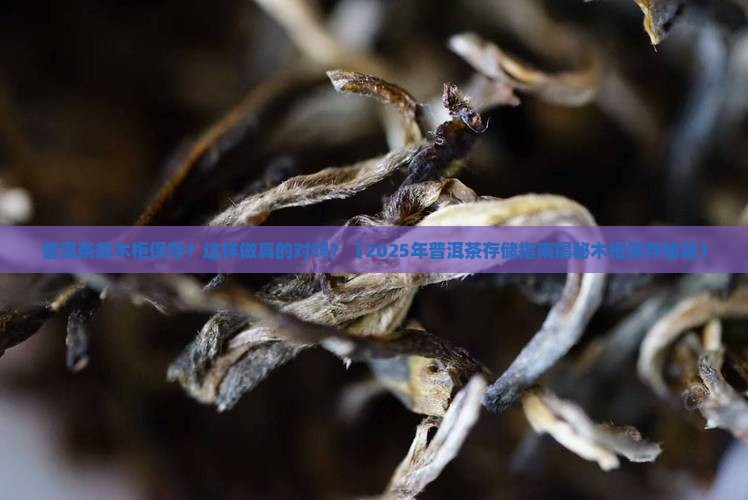 普洱茶放木柜保存