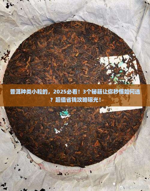 普洱种类小粒的