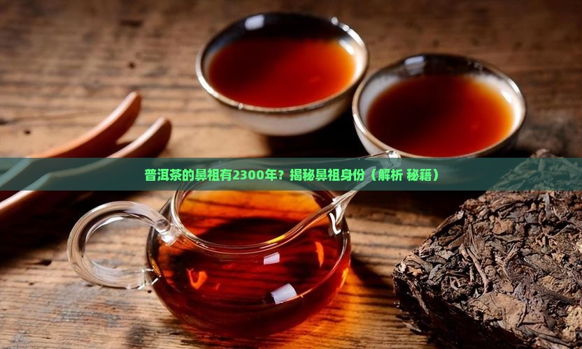 普洱茶的鼻祖有2300年