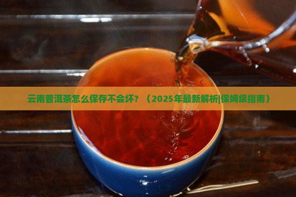 云南普洱茶怎么保存不会坏