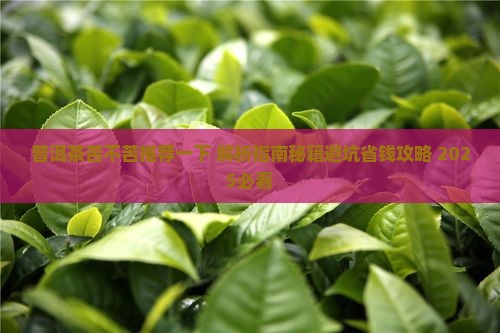普洱茶苦不苦推荐一下