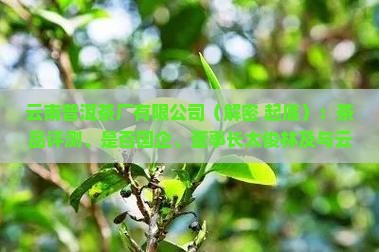 云南普洱茶厂有限公司