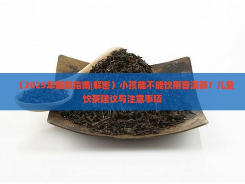 小孩了可以喝普洱茶吗