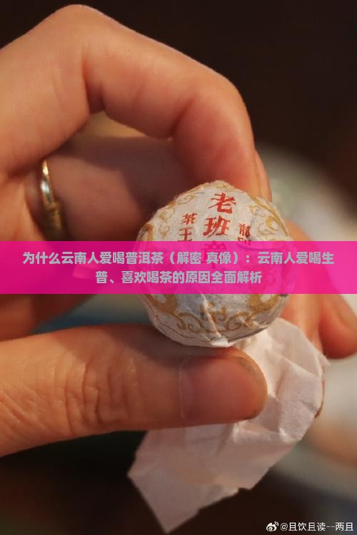 为什么云南人爱喝普洱茶