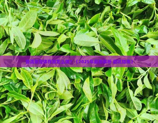 普洱茶整体存放