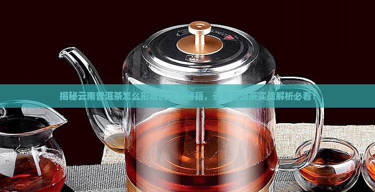 云南普洱茶是怎么形成的