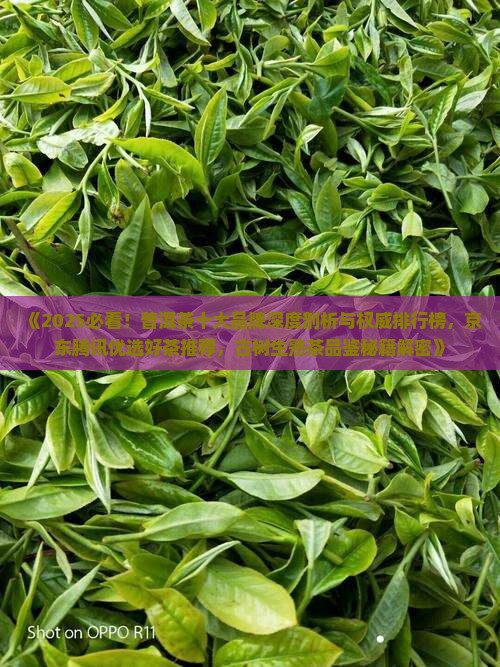 普洱茶品牌茶叶有哪些