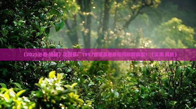 花园茶厂1997普洱茶