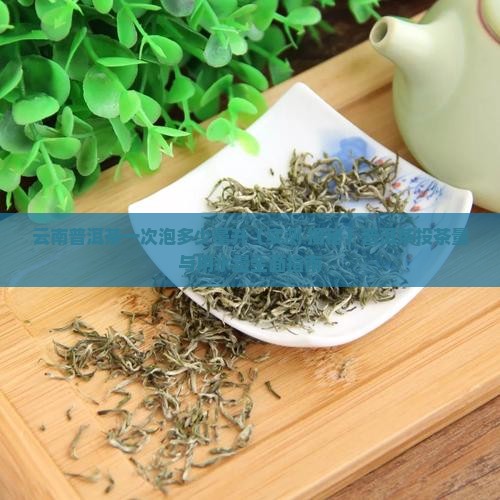 云南普洱茶一次泡多少毫升