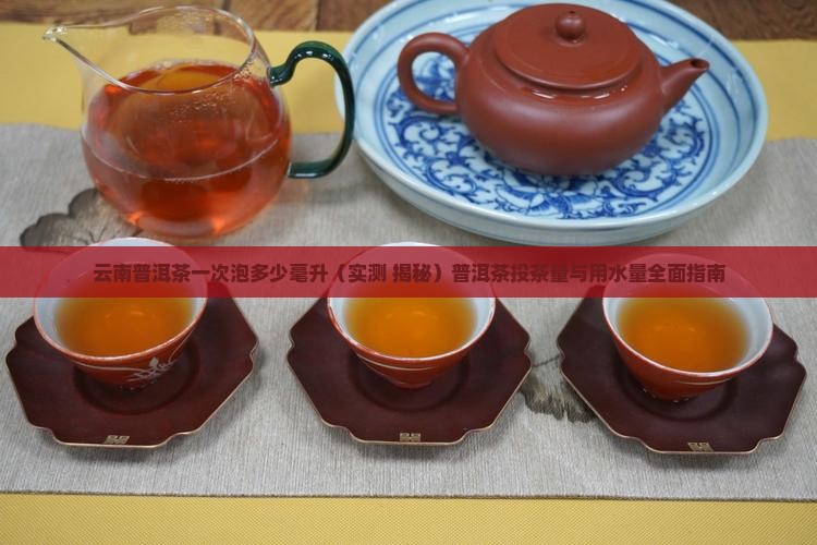 云南普洱茶一次泡多少毫升