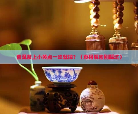 普洱茶上的小黄点一吹即落