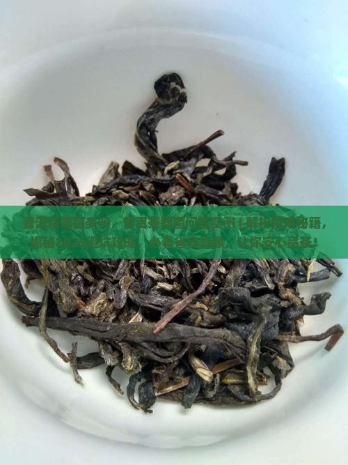普洱茶霉菌多吗