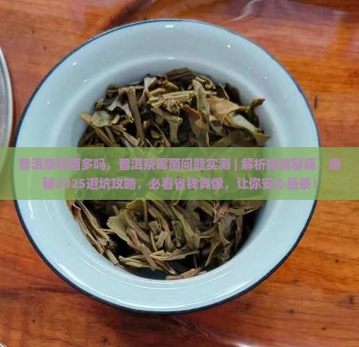 普洱茶霉菌多吗
