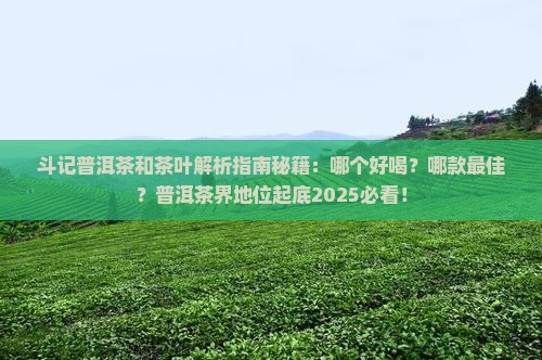 斗记普洱茶和茶叶
