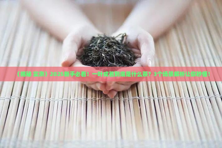 一叶成茗是什么茶