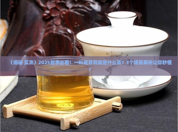 一叶成茗是什么茶